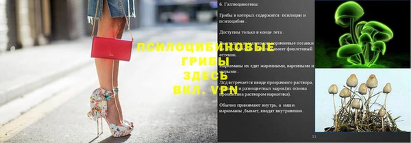 гашиш Ельня