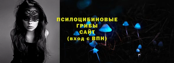 амфетамин Елизово