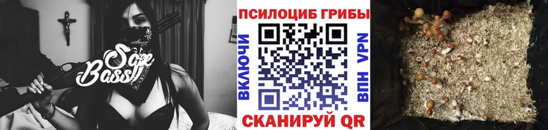 Купить закладки  Мелеуз  Галлюциногенные грибы Psilocybine cubensis 